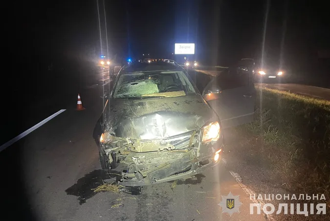 Біля Луцька авто в'їхало в підводу: постраждали троє людей, двоє із них – діти (фото)