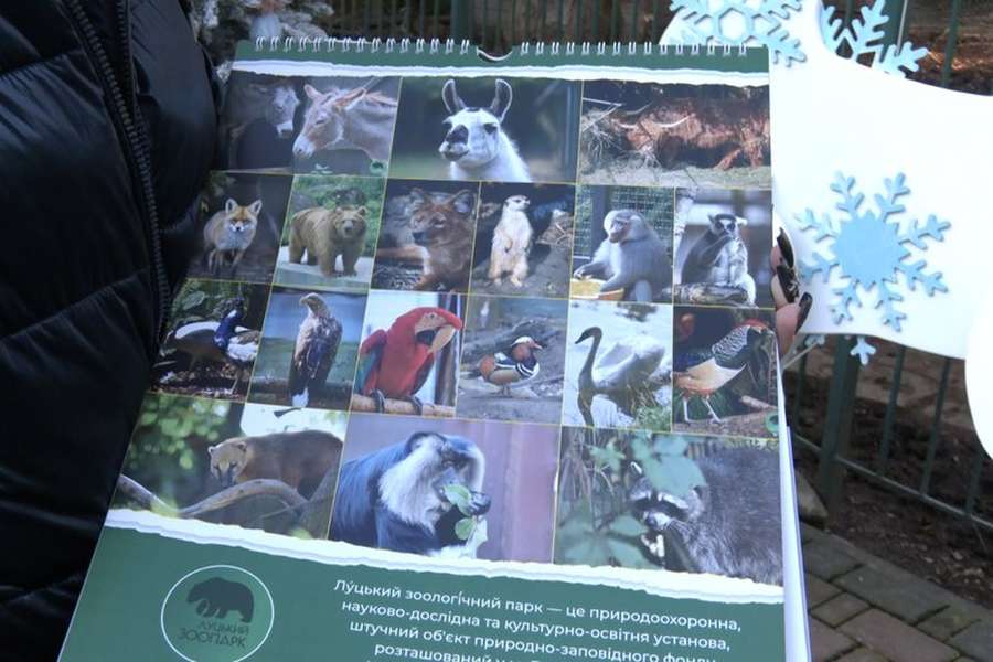 Луцький зоопарк випустив свій календар: який він має вигляд (відео)