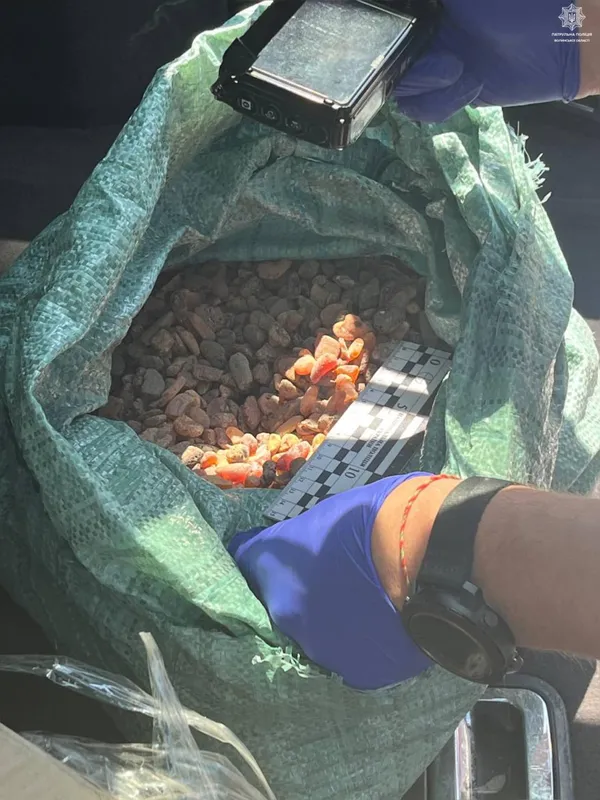 «Везу горіхи для мами»: на Волині в авто знайшли мішок з бурштином (фото)