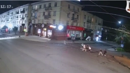 Перебігали на червоний: у Луцьку показали пішоходів-екстремалів (відео)