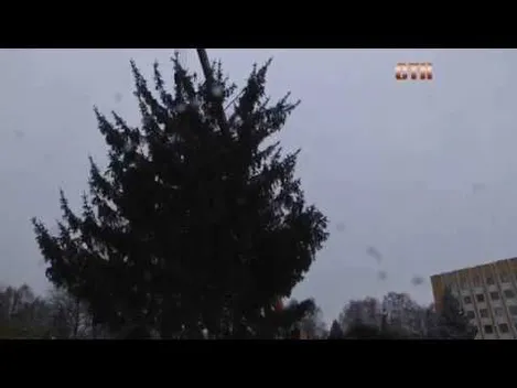 Показали, як падала новорічна ялинка в Нововолинську (відео)
