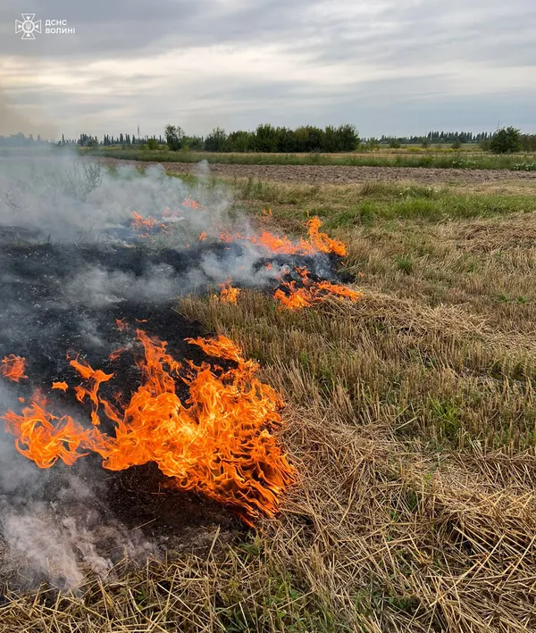 На Волині продовжують палити сухостій (фото)