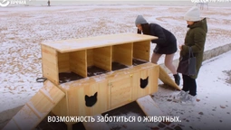В Одесі створили мобільну хатинку для бродячих котиків (відео)