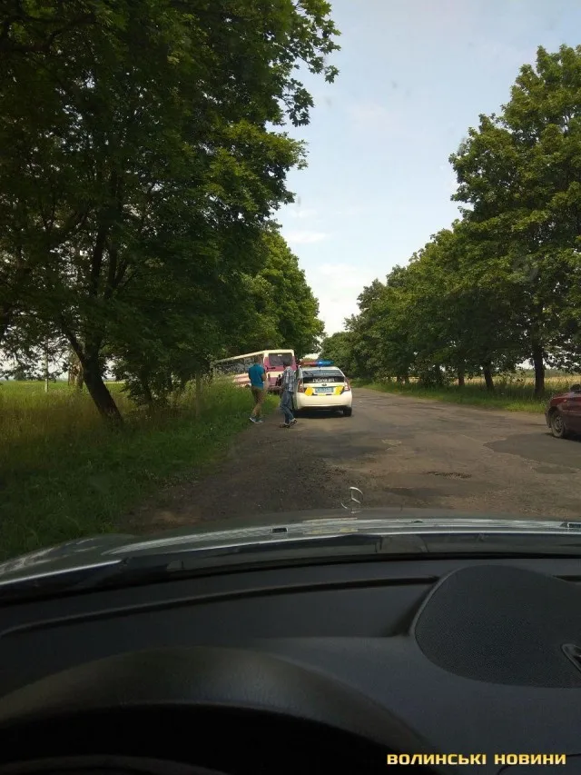 На Волині рейсовий автобус врізався у дерево (фото)