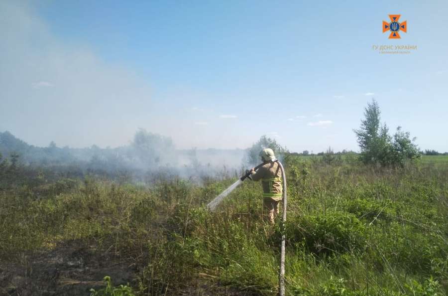 Горіли поля: волинські рятувальники погасили 5 пожеж за день (фото)
