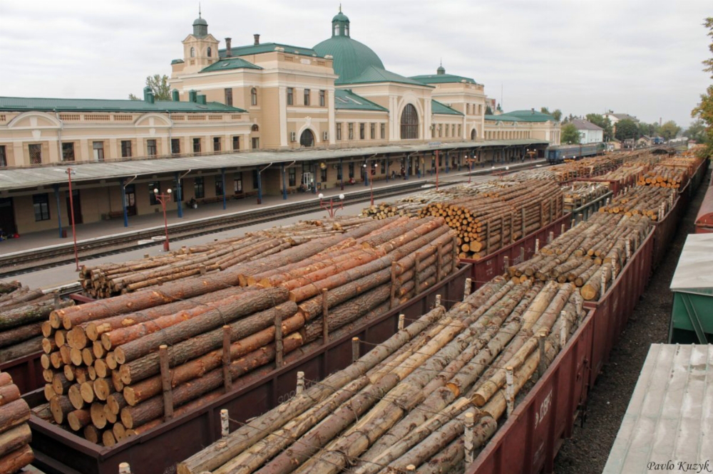 В ЄС щодня в'їжджає 60 потягів з незаконною українською деревиною