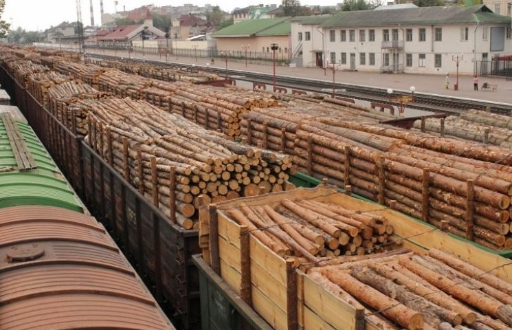 За півроку відкрили 39 справ щодо незаконного експорту деревини (інфографіка)