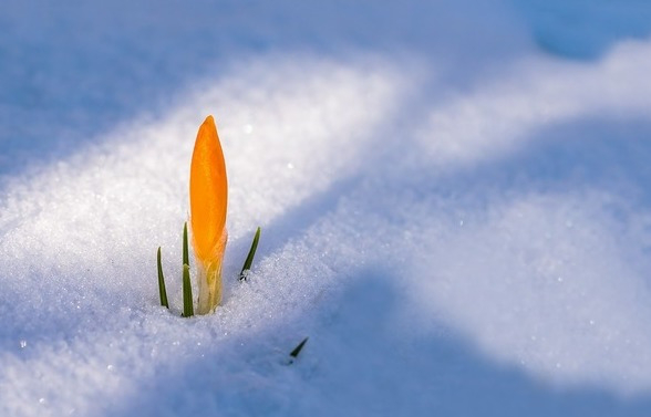 Нарешті весна: погода в Луцьку на вівторок, 6 березня 