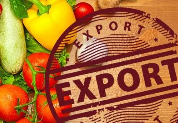 В Україні зросла кількість підприємств, які мають право експорту