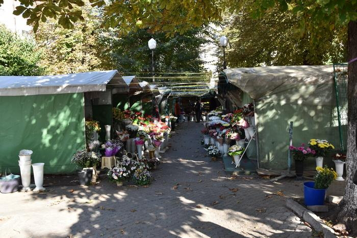 Куди хочуть «переселити» квітковий ринок у центрі Луцька