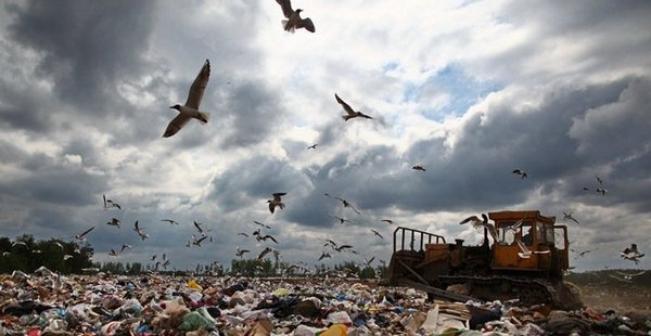 Чому Україні загрожує сміттєва катастрофа (інфографіка)