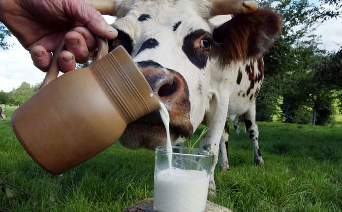 В Україні хочуть заборонити продаж «домашнього» молока