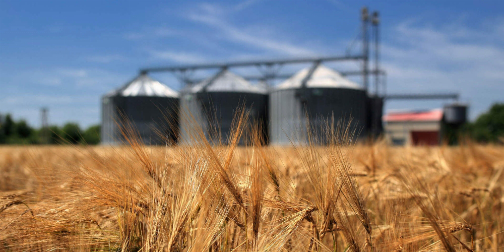 Україна побила рекорд із експорту зерна 