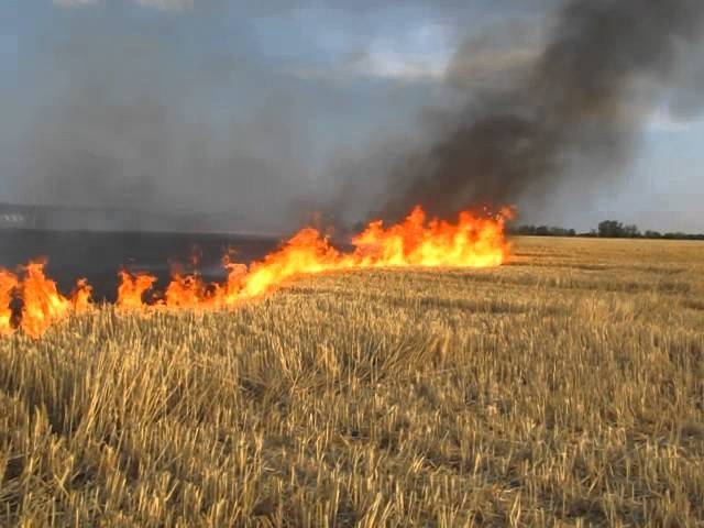 За спалювання сухої трави в українців можуть забирати землі 