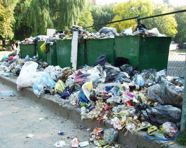 Міський голова заборонив укладати угоди  з людьми, які не мають контейнерів для сміття
