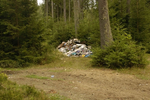 Волинські ліси перетворюють на сміттєзвалища