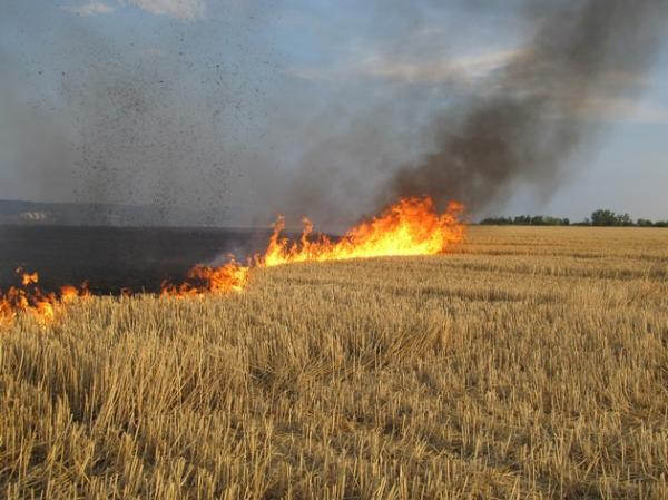 Від волинянки, яка спалила чужу пшеницю, вимагають 2 мільйони 