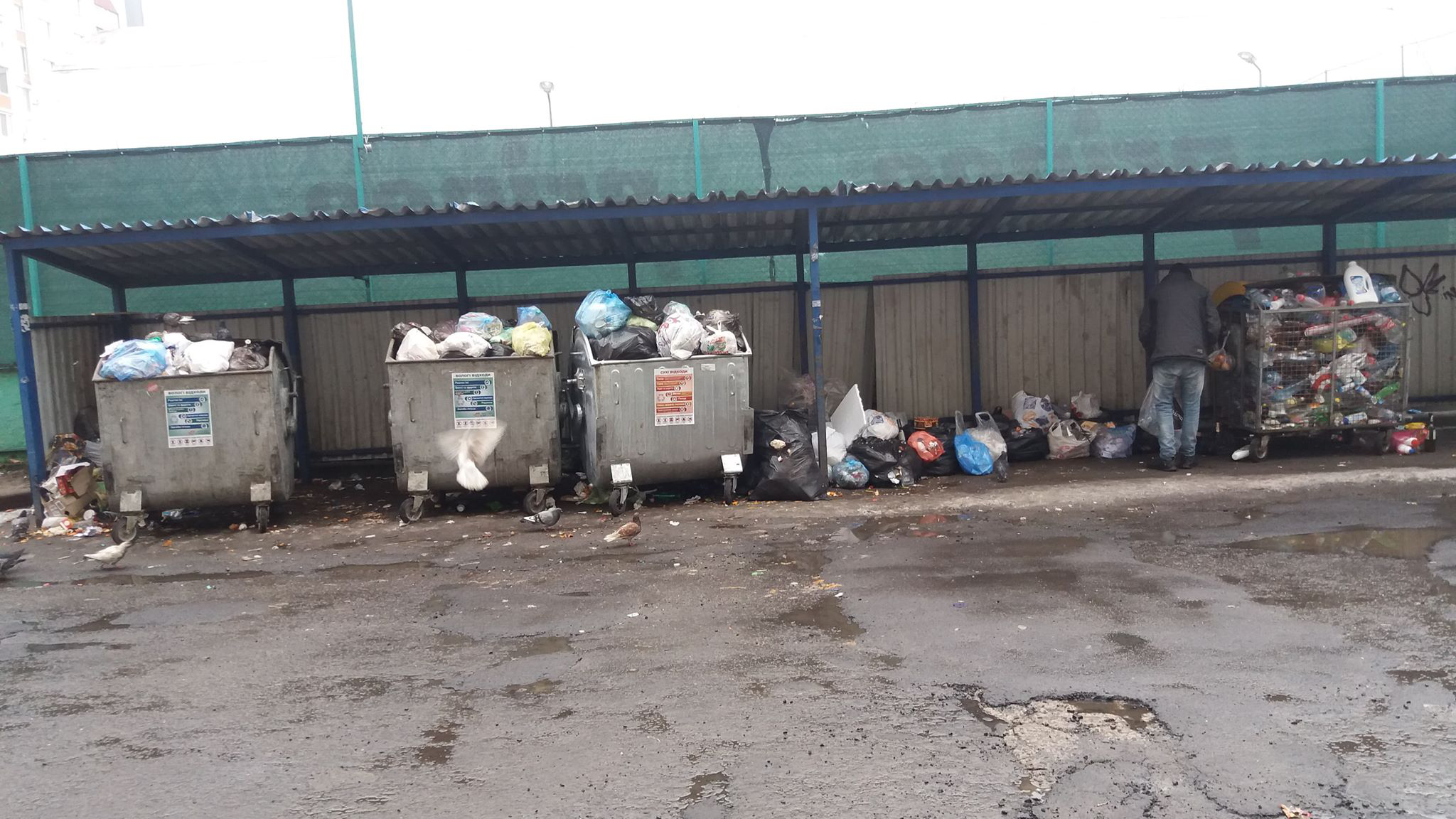У Луцьку мешканці «потопають» в смітті через недостатню кількість контейнерів