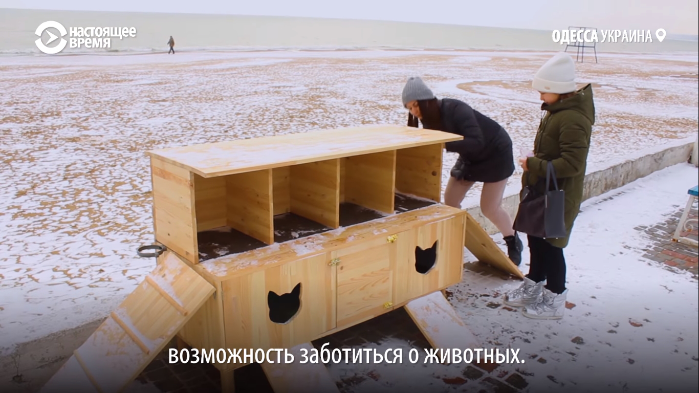 В Одесі створили мобільну хатинку для бродячих котиків (відео)