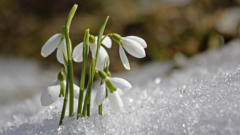 Потепліє: погода в Луцьку на неділю, 3 березня