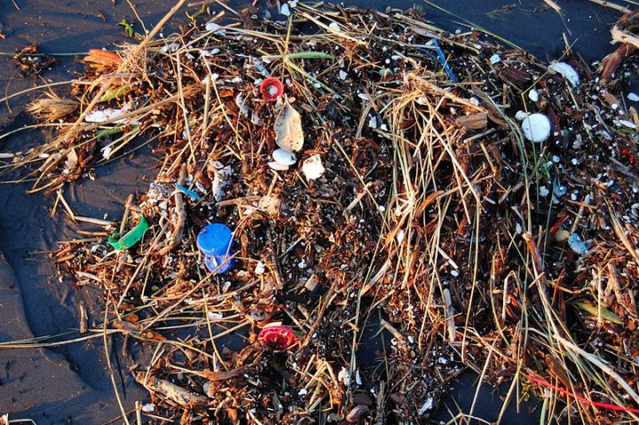 Жителі океану харчуються пластиком, який лежить на дні і не розкладається, – вчені