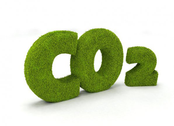 Збільшення рівня СО2 не сприяє росту рослин так, як вважалося раніше