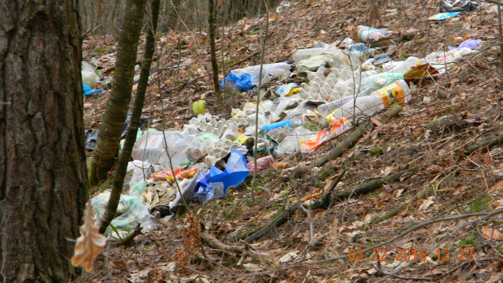 Волинян попереджають про штрафи за сміття в лісі
