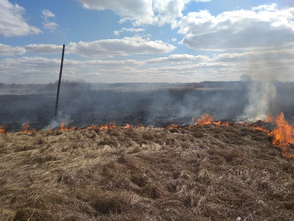 За добу на Волині зафіксували вісім випадків загорання трави (фото)