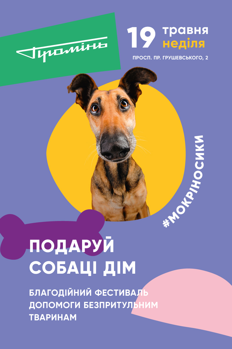 У РЦ «Промінь» відбудеться фестиваль безпритульних собак*