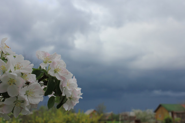 Гроза: погода в Луцьку на суботу, 11 травня
