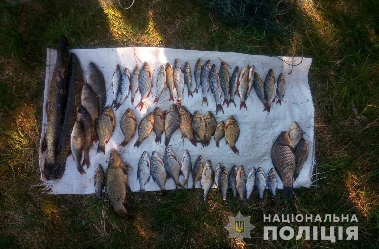 На Волині незаконно наловили понад 300 кілограмів риби (фото)
