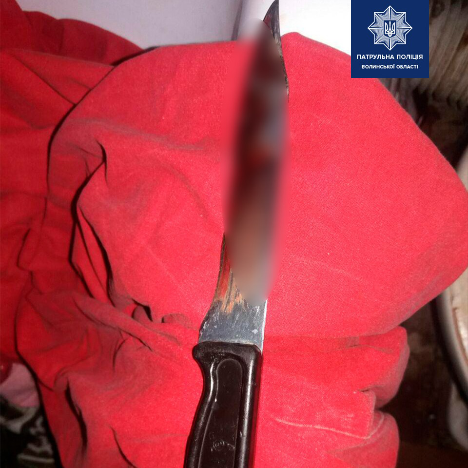 Напав із ножем і сховався: у Луцьку затримали зловмисника (фото)