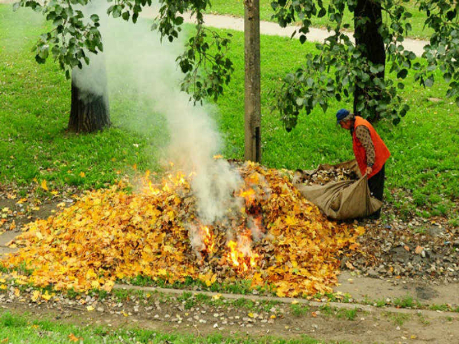 Спалювання листя і сухої трави: як вберегтися від токсичного диму