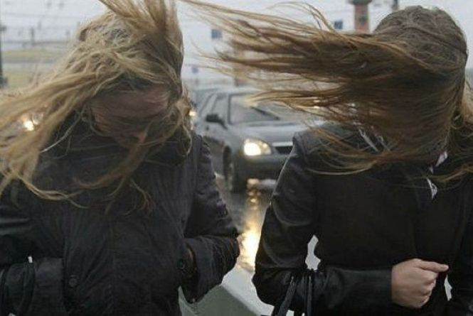 Волинян попереджають про сильний вітер: «жовтий» рівень небезпеки