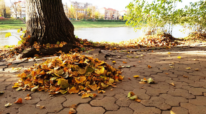 Від -5 до +23: якою буде осінь в Україні