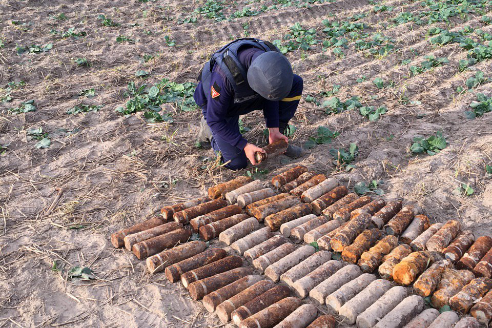 На Волині на полі біля села знайшли понад 500 артилерійських снарядів (фото)