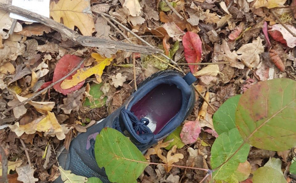 На Одещині у лісосмузі знайшли тіло 14-річної дівчинки (фото, відео)