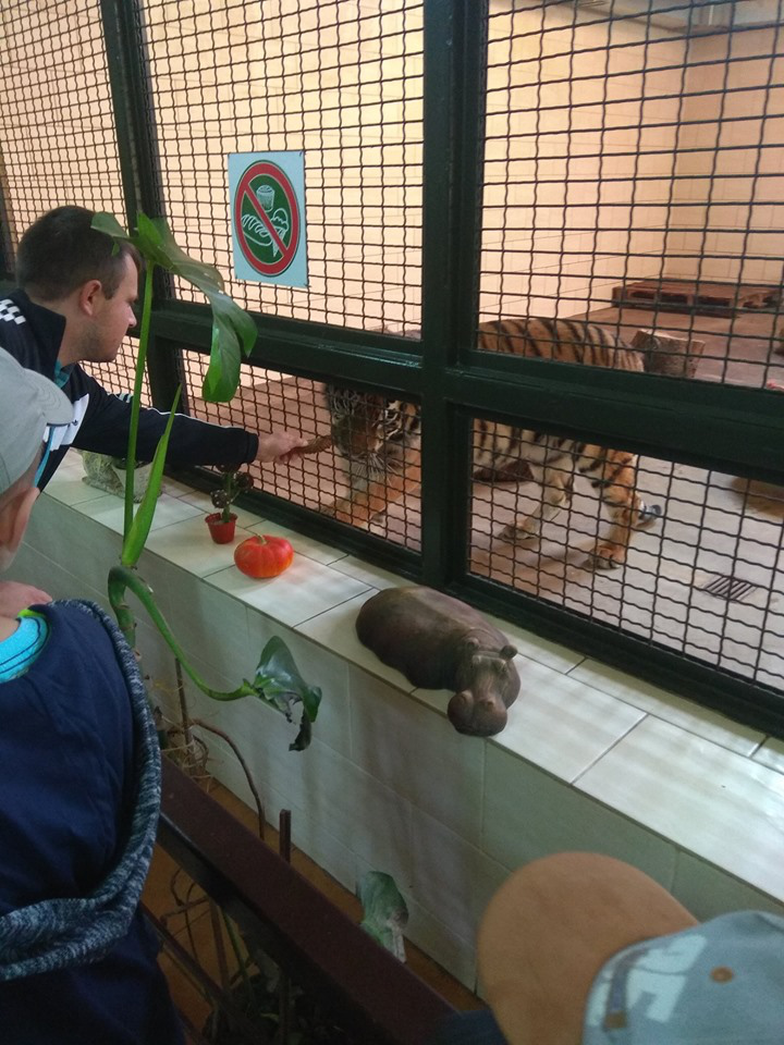 Вкинуте левам кошеня і мавпи зі шпильками: невдячні відвідувачі Луцького зоопарку