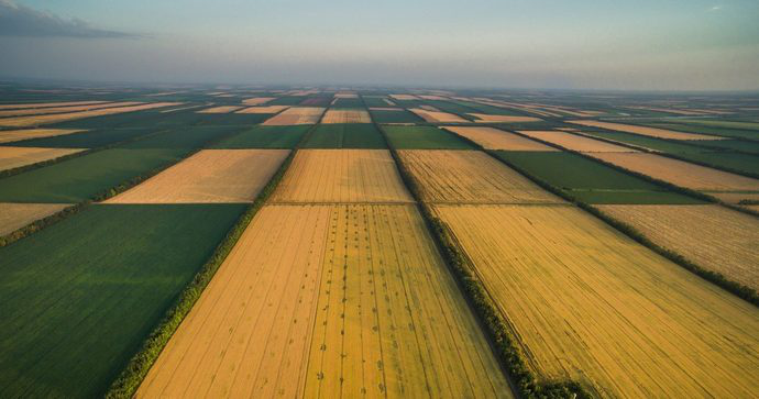 Зеленський розповів, чи зможуть іноземці купувати українську землю