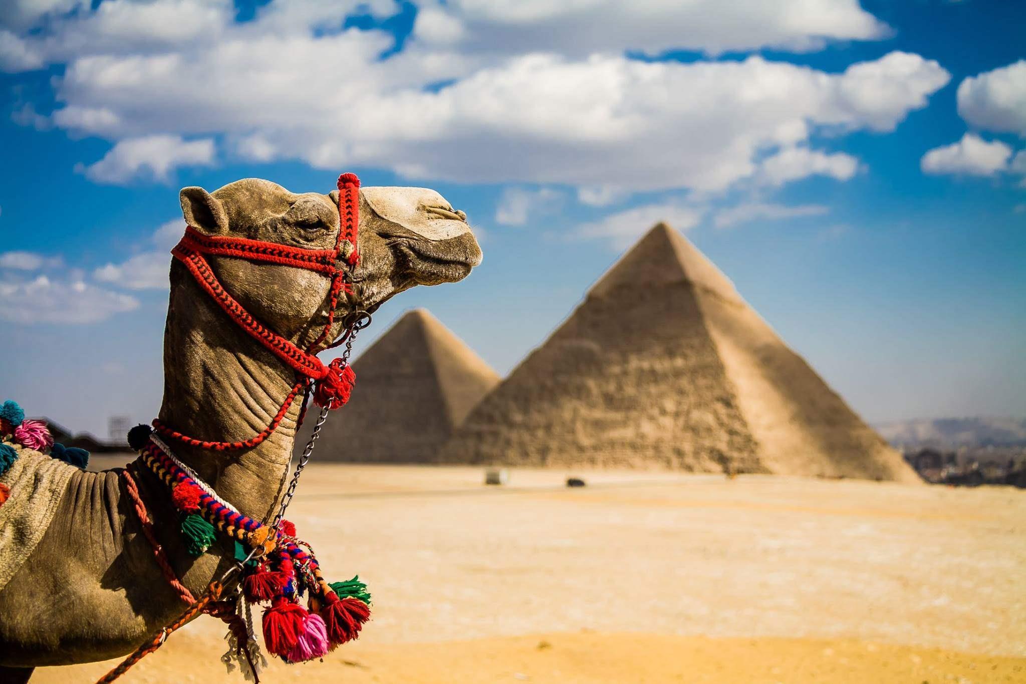 Що варто знати про країну пірамід мандрівникам, які придбали тур в Єгипет?*