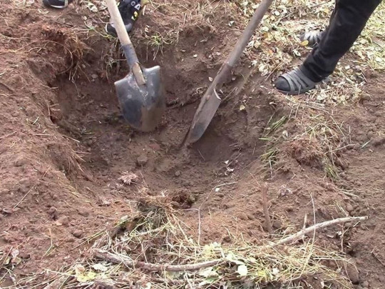 Побили і закопали: волинян судитимуть за знущання над чоловіком