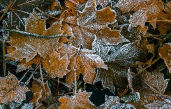 Перші морози: погода в Луцьку на п'ятницю, 22 листопада