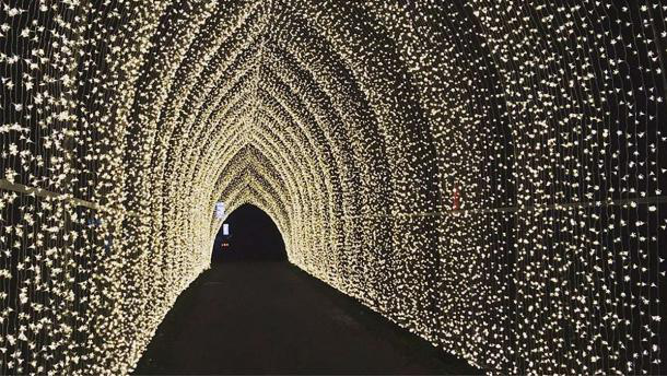 У Лондоні до різдвяних свят уже прикрасили королівські сади (фото)