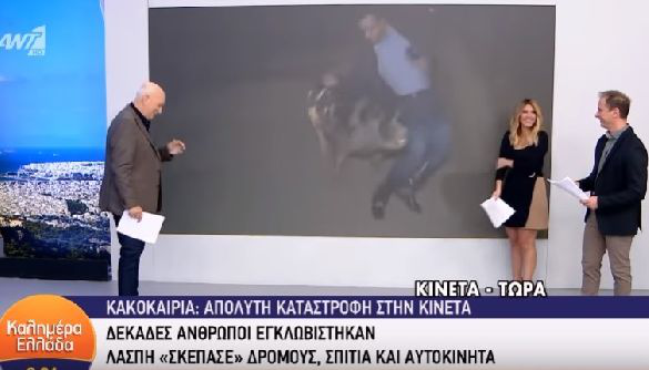 У Греції на журналіста напала свиня у прямому ефірі (відео)
