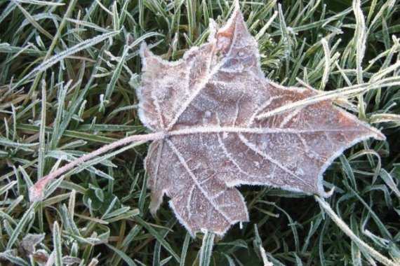 Без снігу, але з морозом: погода у Луцьку на неділю, 1 грудня