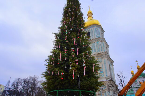 На Софіївській площі Києва встановили головну новорічну ялинку (фото)
