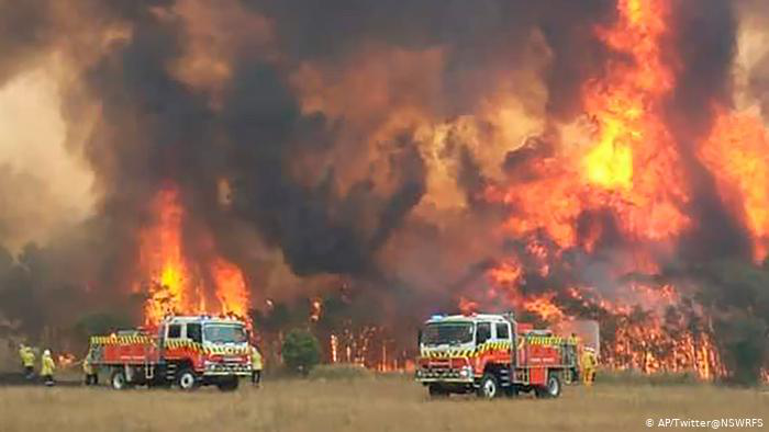 В Австралії після масштабних лісових пожеж почалися зливи (відео)