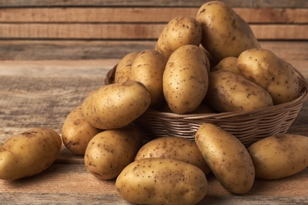 Торік на Волині виростили понад мільйон тонн картоплі