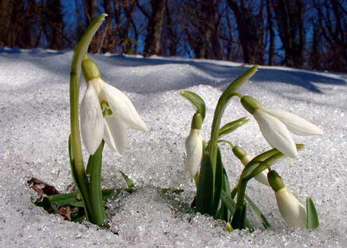 У травні – спека: синоптики спрогнозували, якою буде весна в Україні