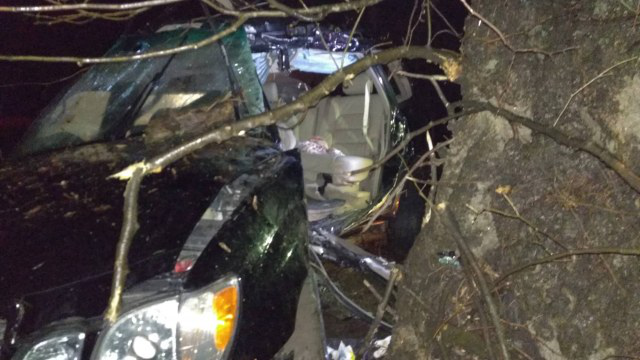 На Волині авто злетіло в кювет і в'їхало в дерево: водій загинув